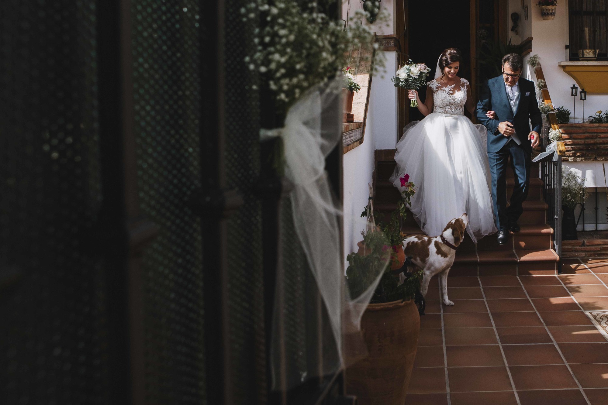 Boda Finca el Alamillo Málaga 18