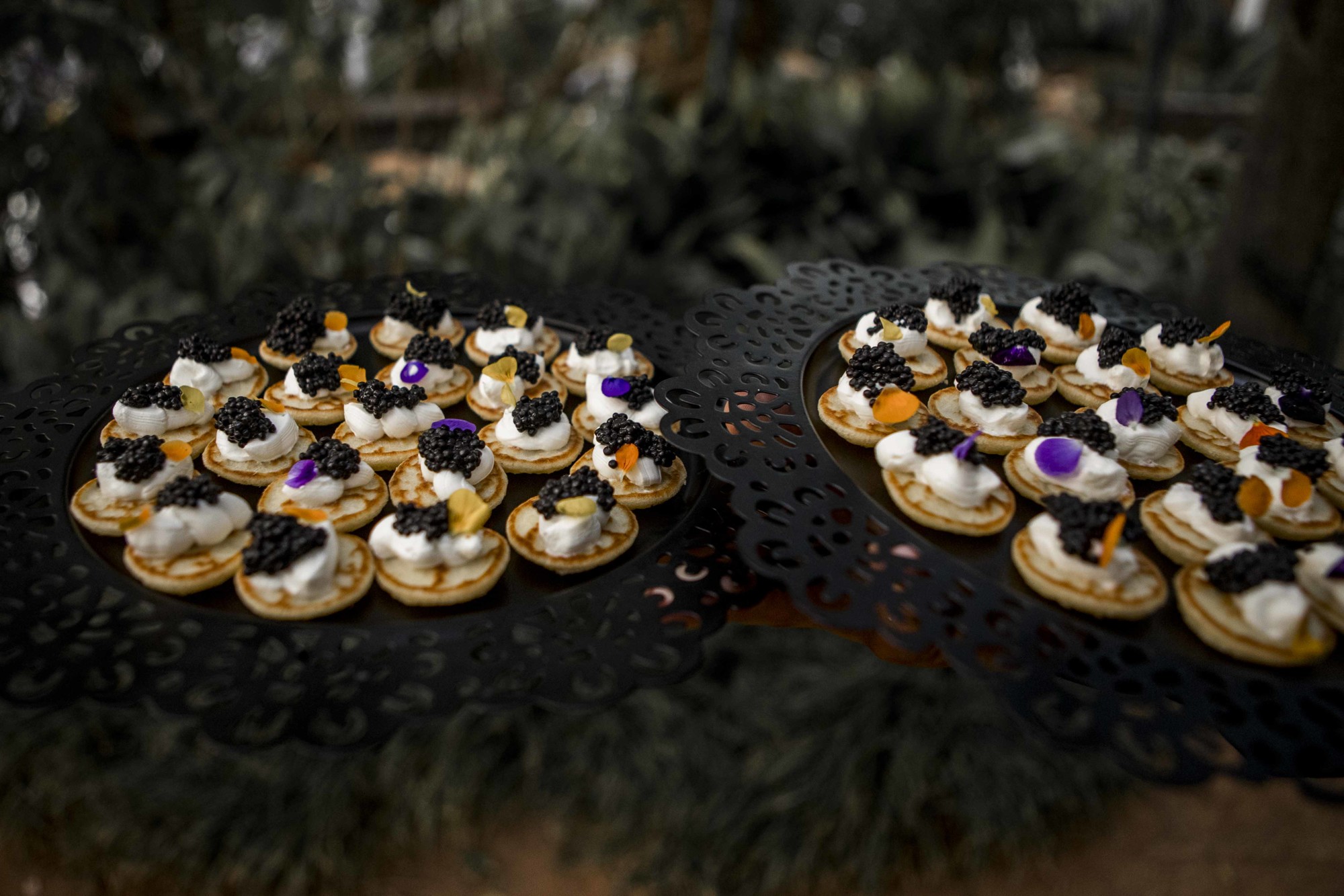 Boda Finca el Alamillo Málaga 60