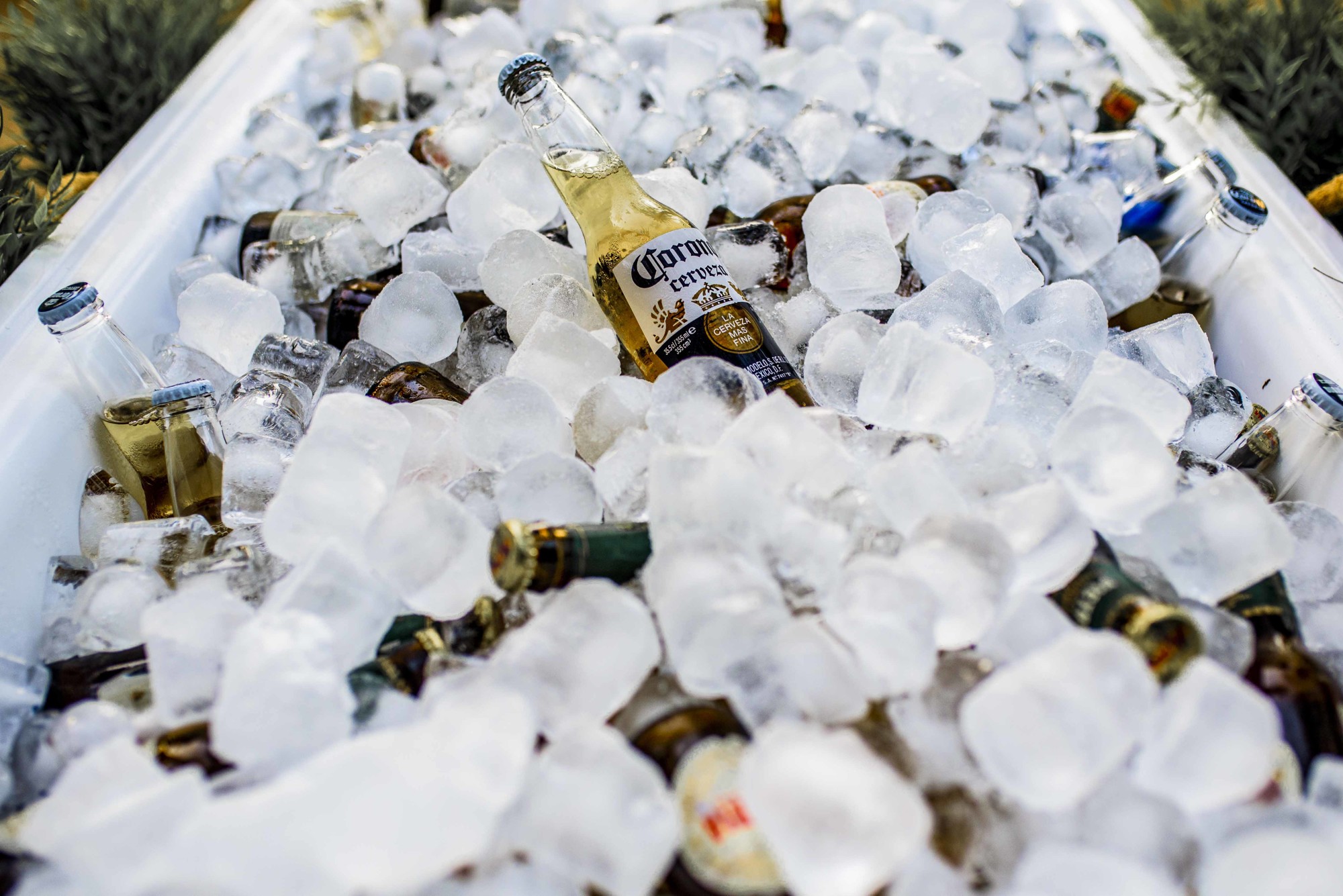 Boda Finca el Alamillo Málaga 62