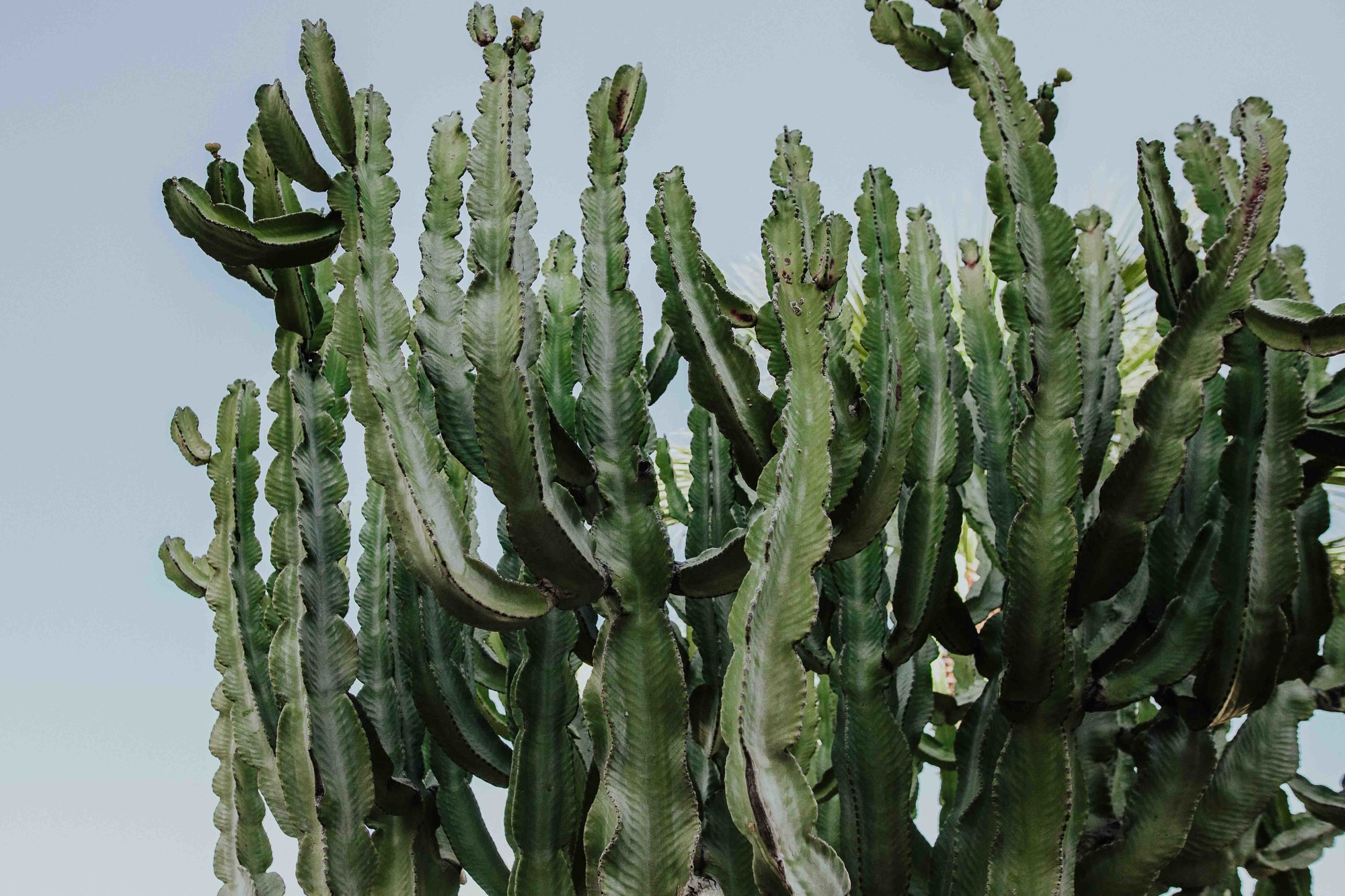 Boda en parador de mojacar-2