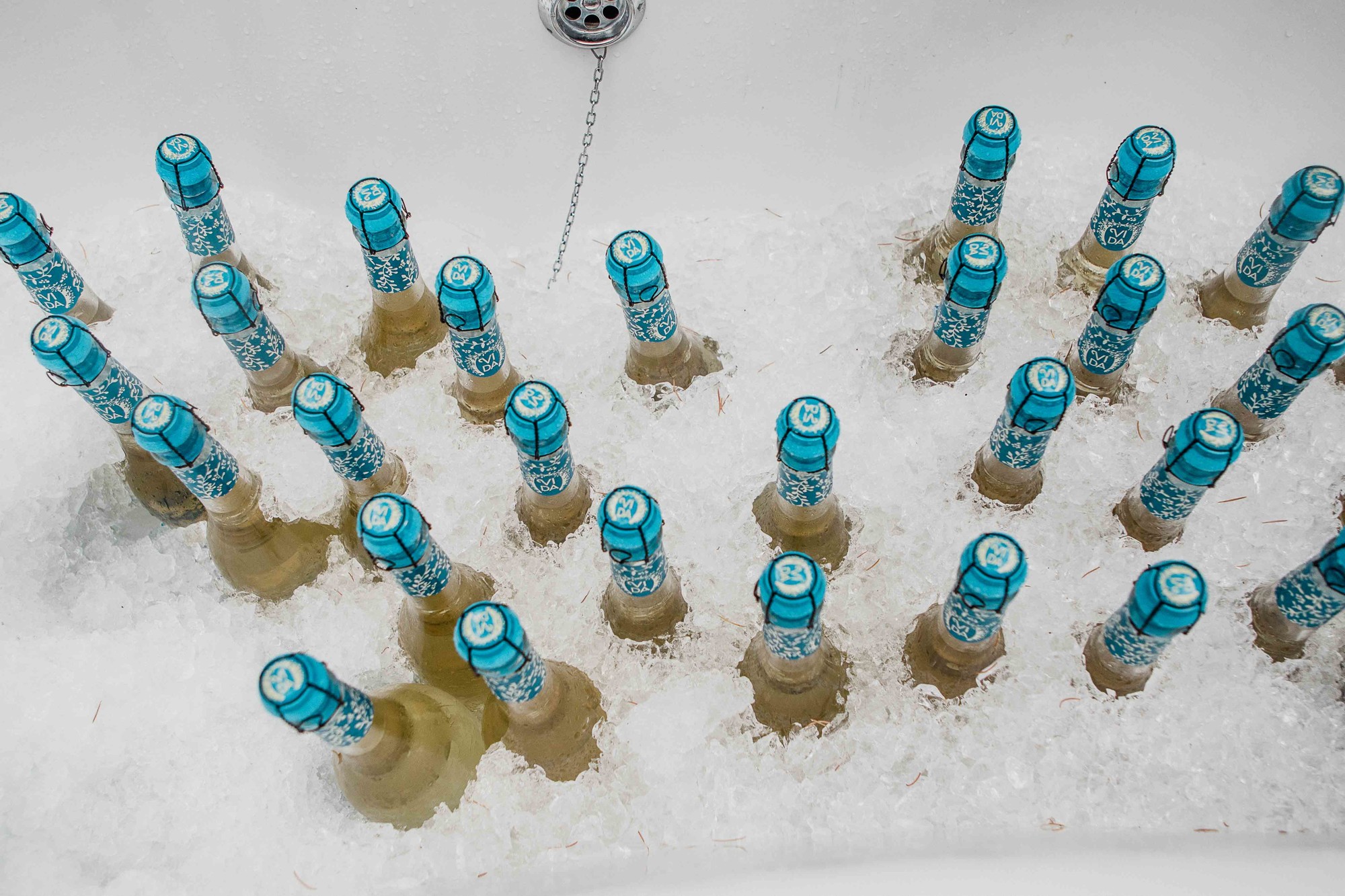 Fotografos boda Lesbiana Málaga Jardin de Gomerez Granada 083