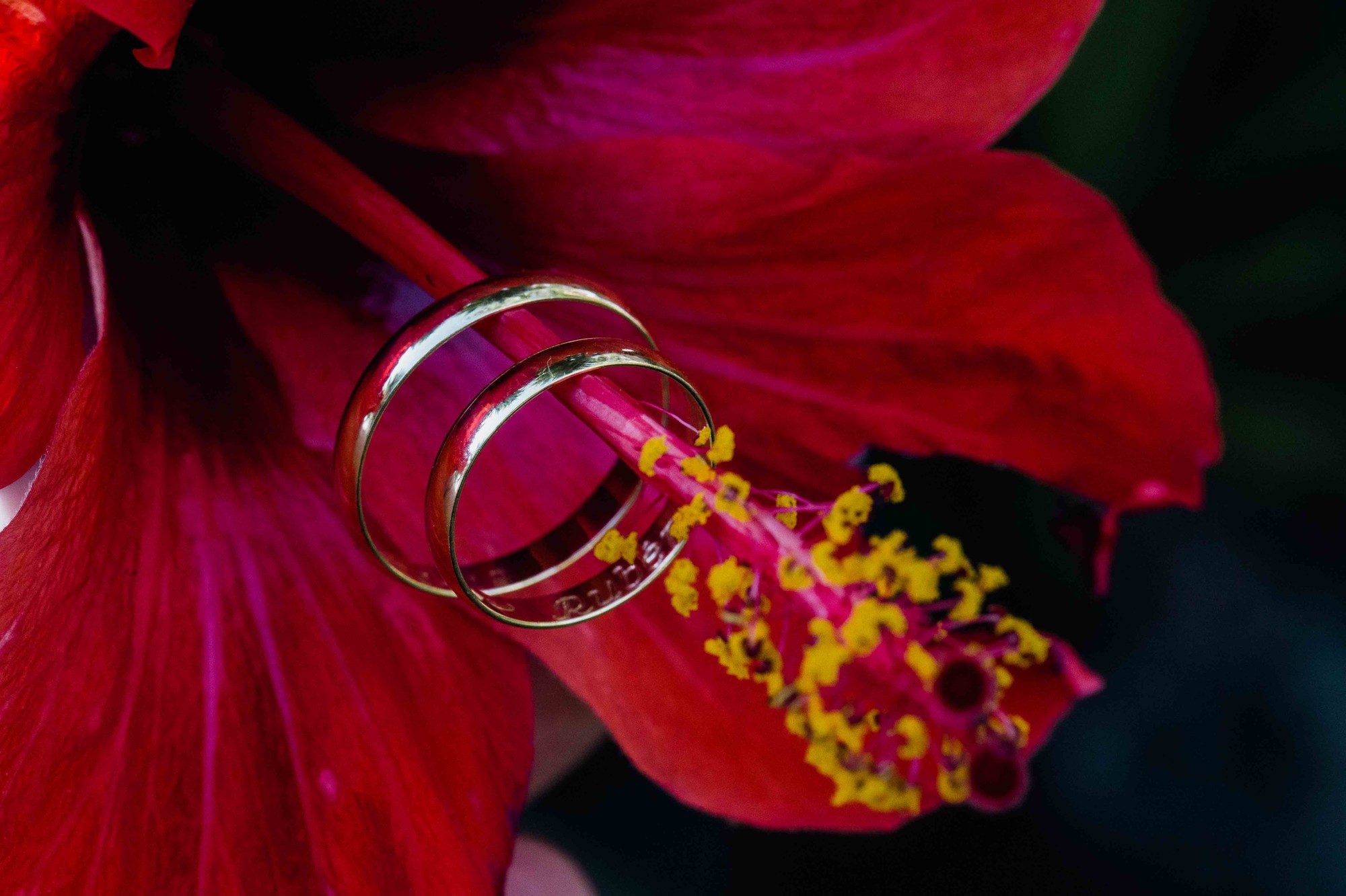 Fotógrafos boda Marbella boda en cortijo de cortes Benahavis 12