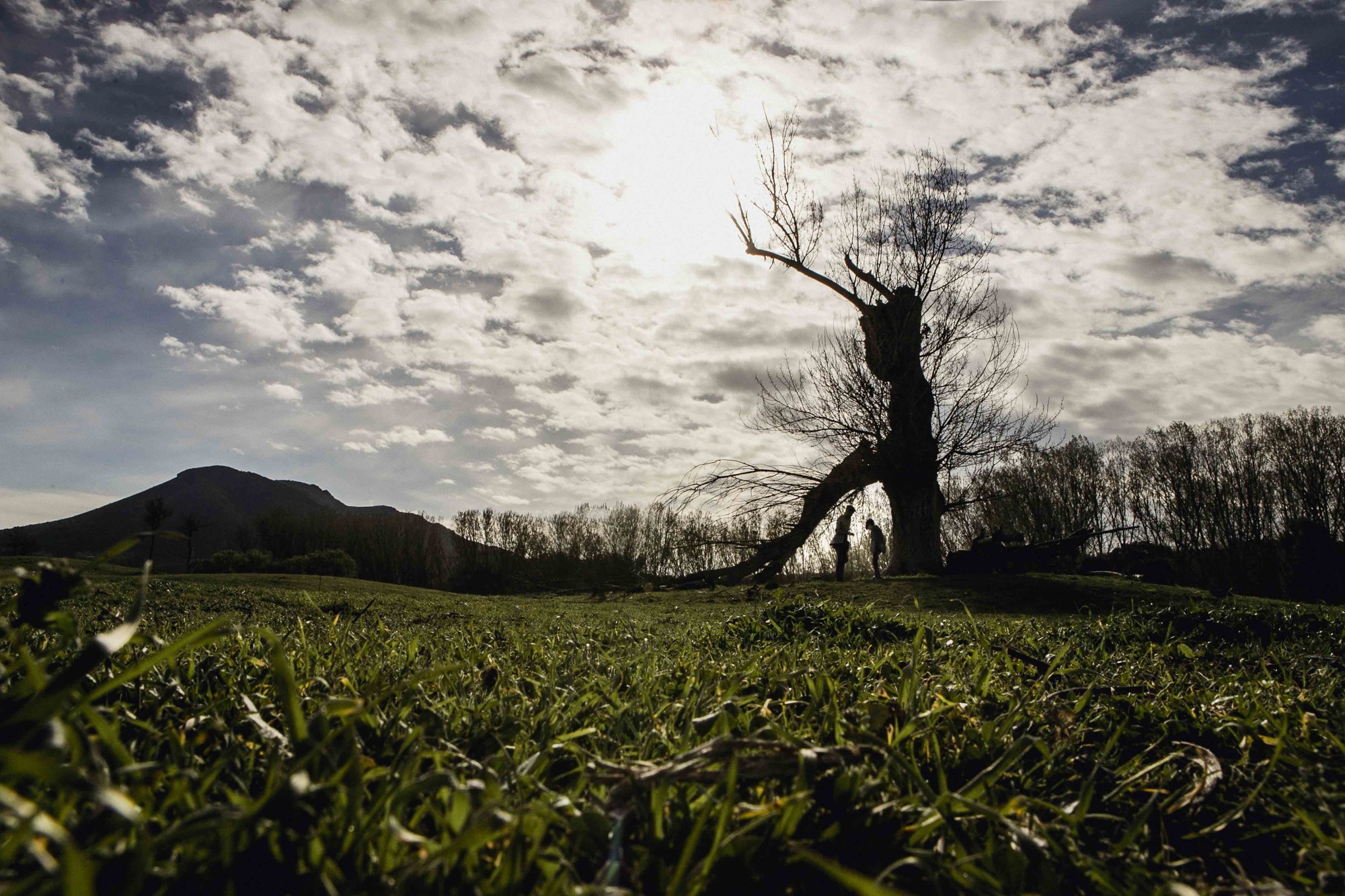 fotografos de comunion Málaga Granada44238