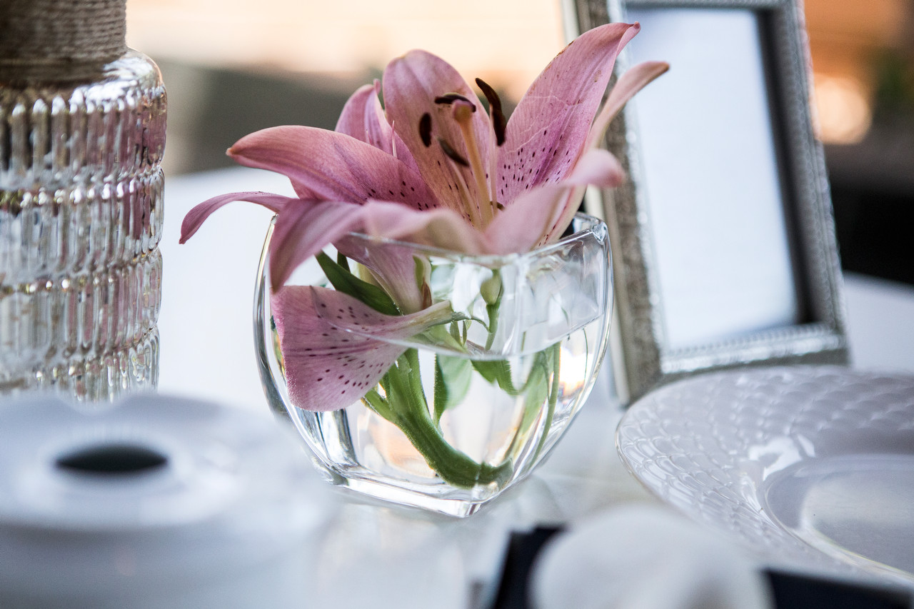 Boda en Parque del Río Málaga 34