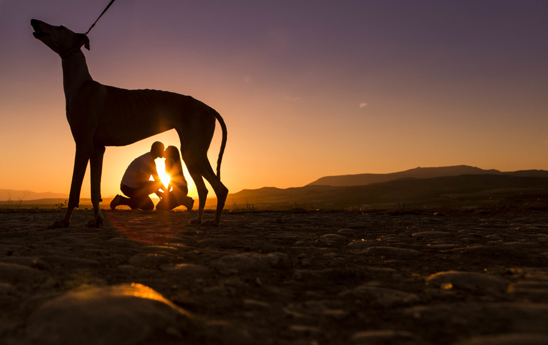 Pre boda en Malaga   pre boda en Granada 18