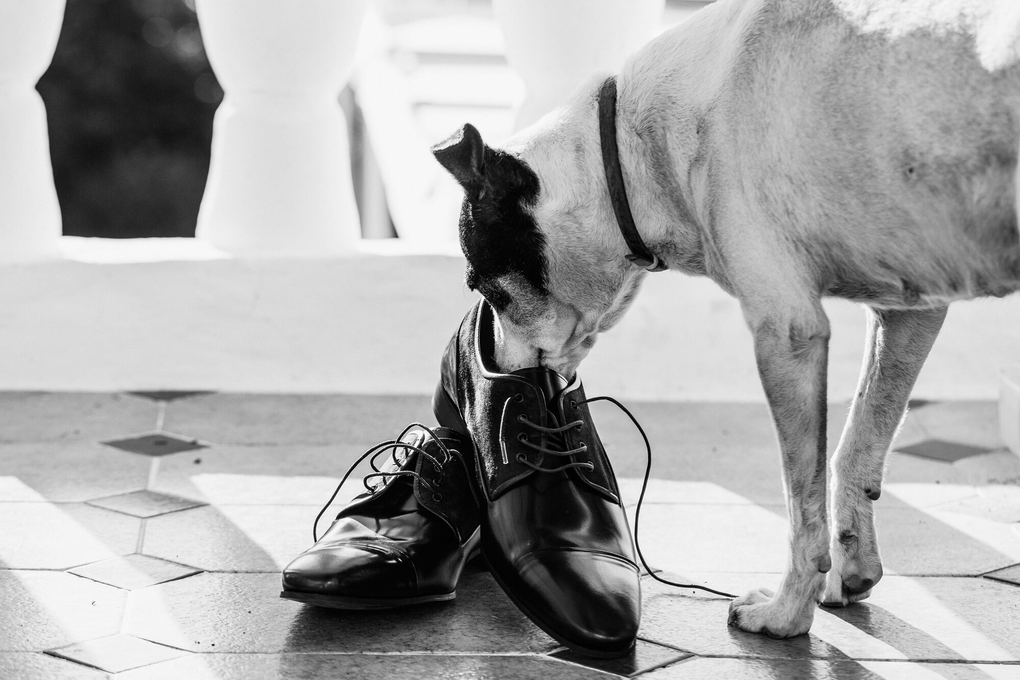 Boda hacienda Nadales Fincas boda Malaga fotografos boda 046