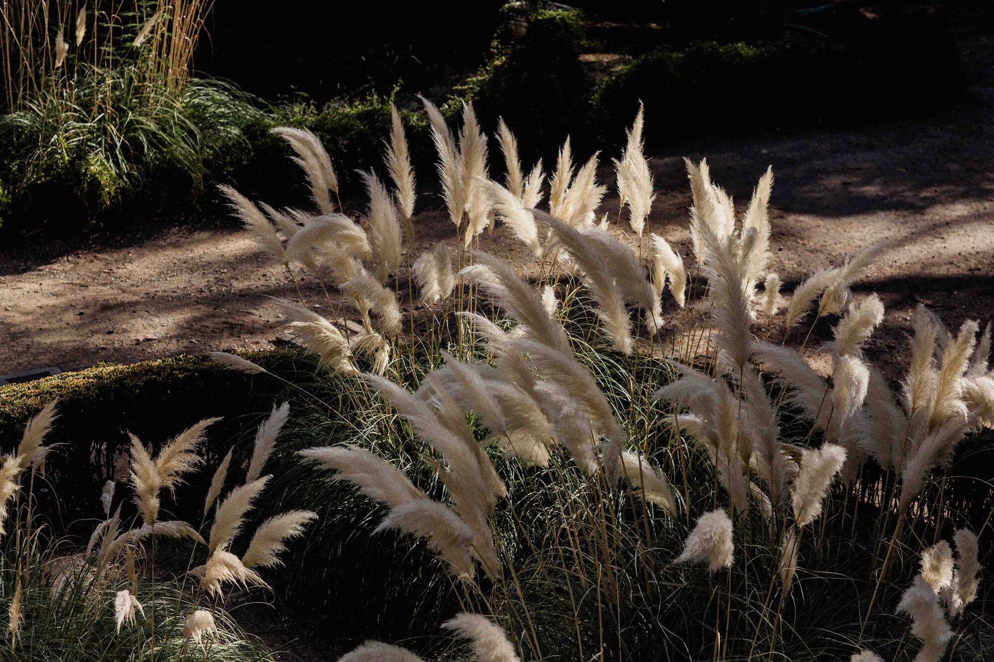 Boda hacienda Nadales Fincas boda Malaga fotografos boda 103