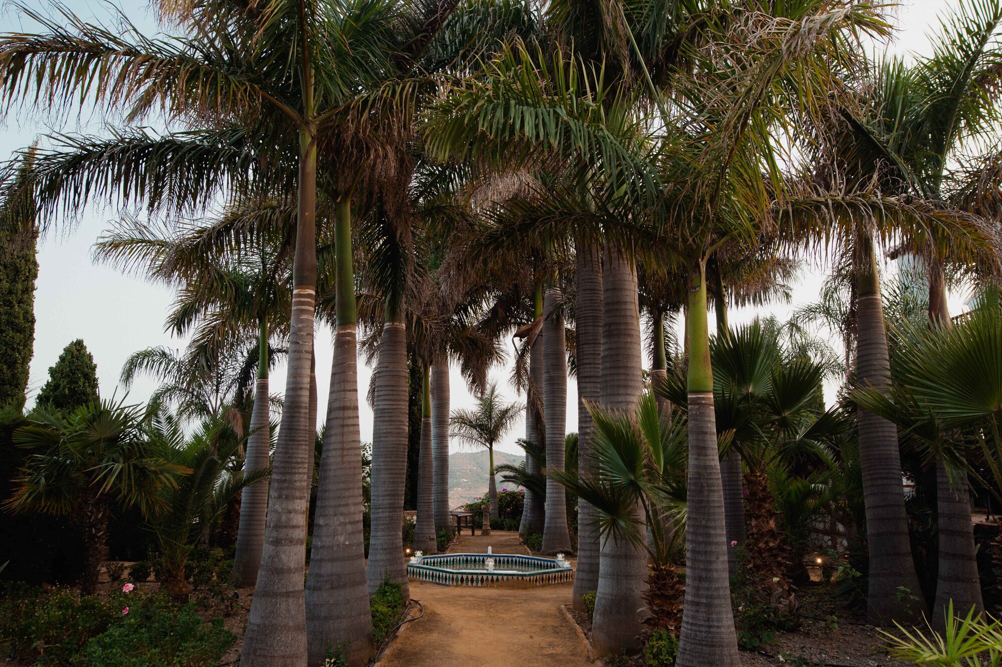 Boda en houselittlealhambra frigiliana fotografos boda Málaga Yolandamcriado26413