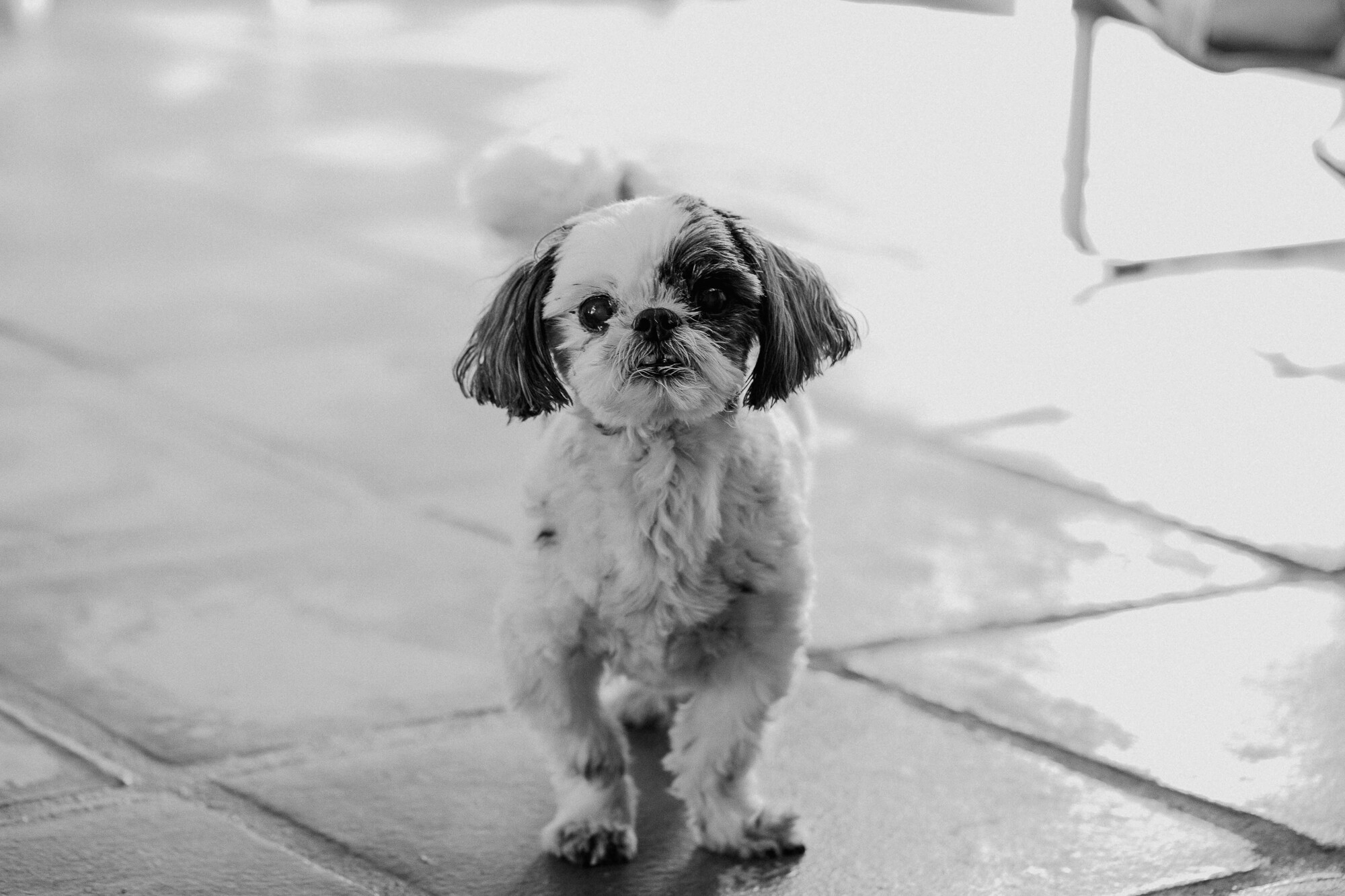 Boda en houselittlealhambra frigiliana fotografos boda Málaga Yolandamcriado26498