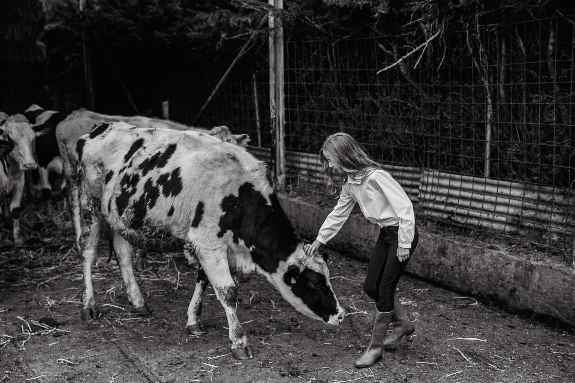Fotografos comunión Malaga Cortojo el Maizal Granada29098