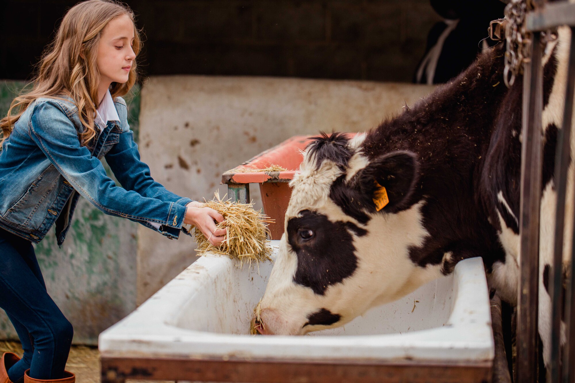 Fotografos comunión Malaga Cortojo el Maizal Granada29131