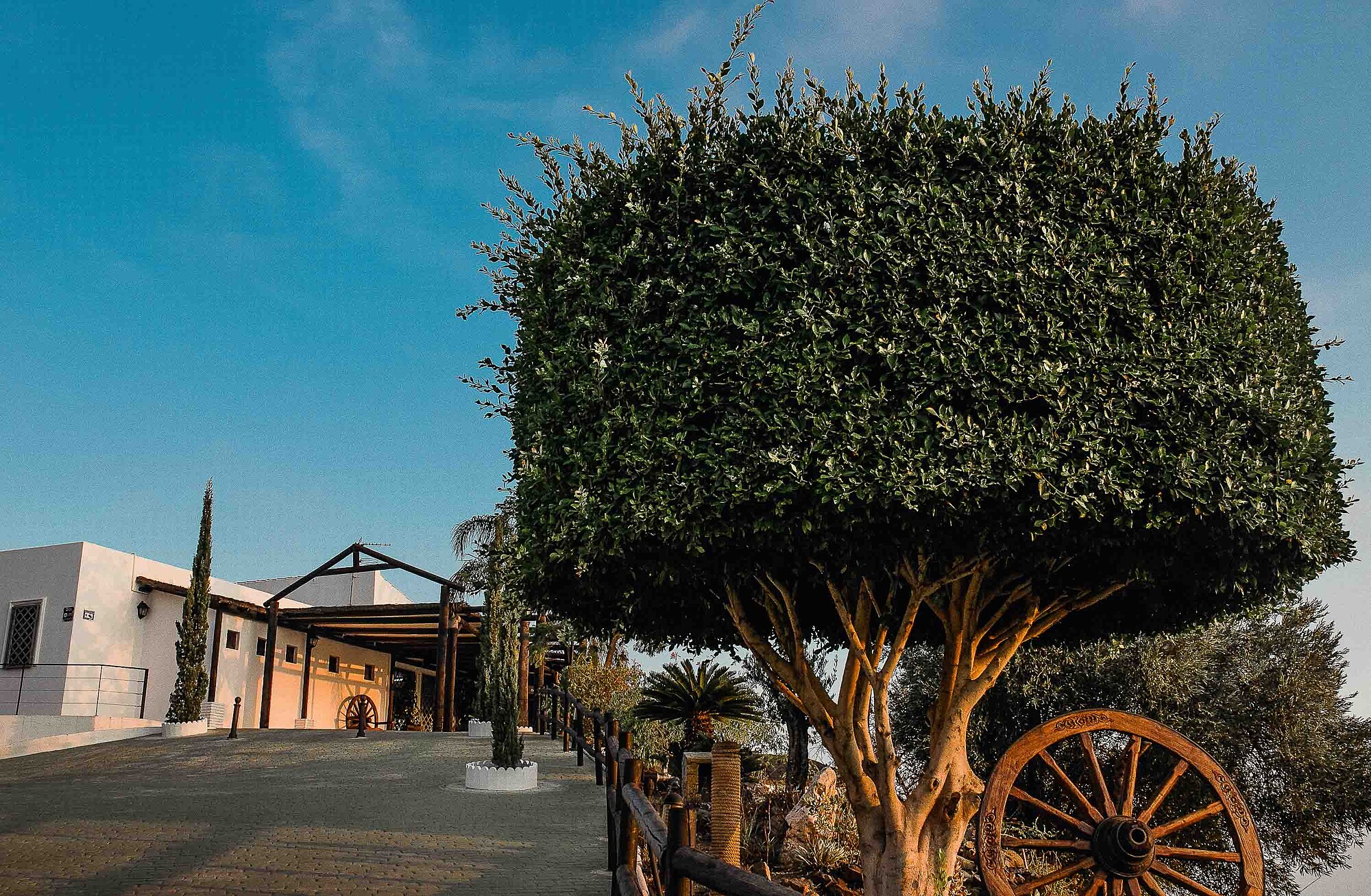 Boda en Finca San Antonio Málaga32911 Noelia y Dani