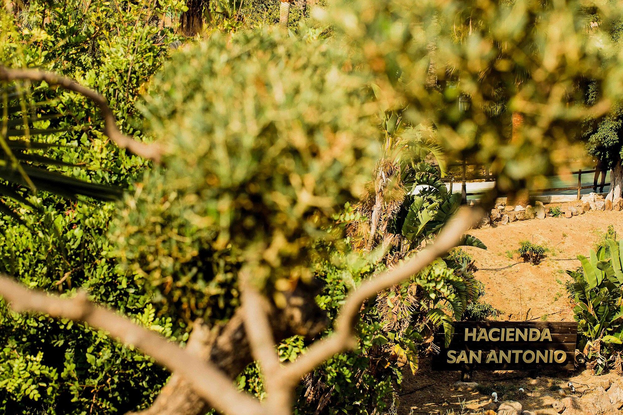 Boda en Hacienda San Antonio finca yourwedding in spain 042