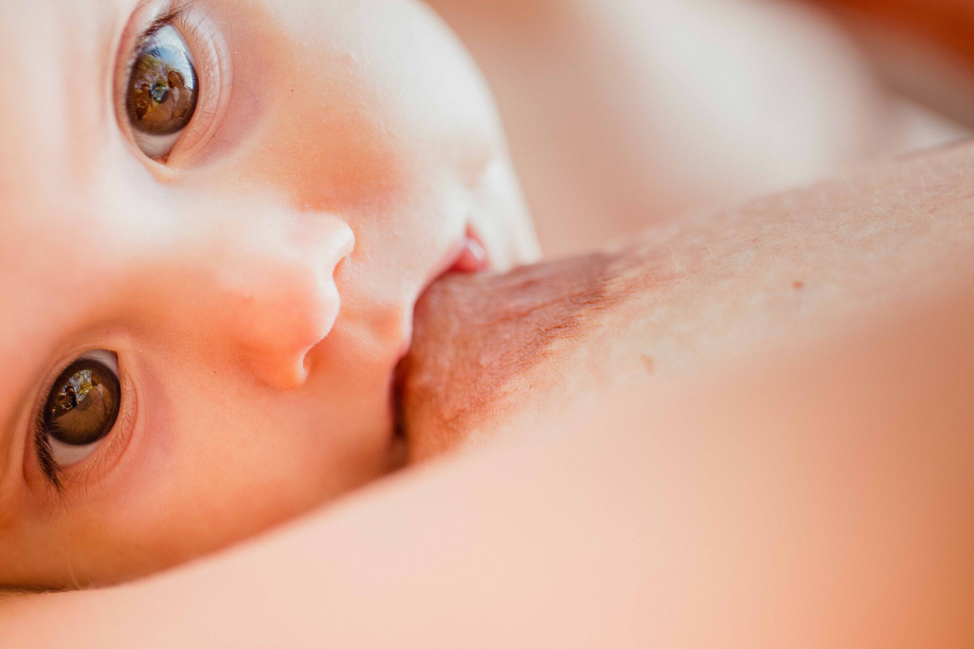 sesion lactancia yolanbaby33489