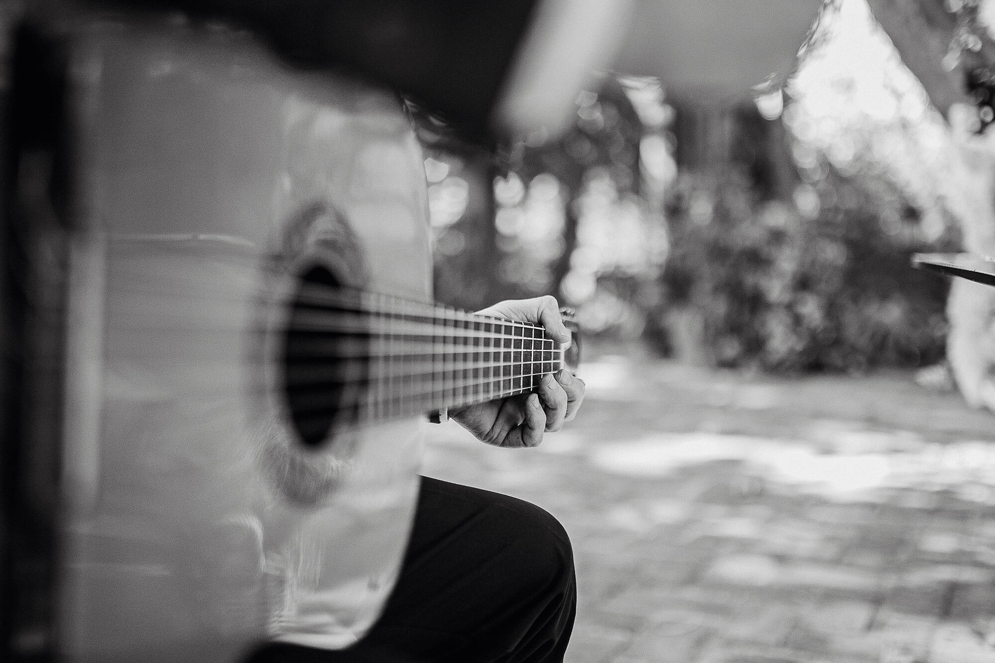 Hacienda del Álamo Malaga Yolandamcriado34245