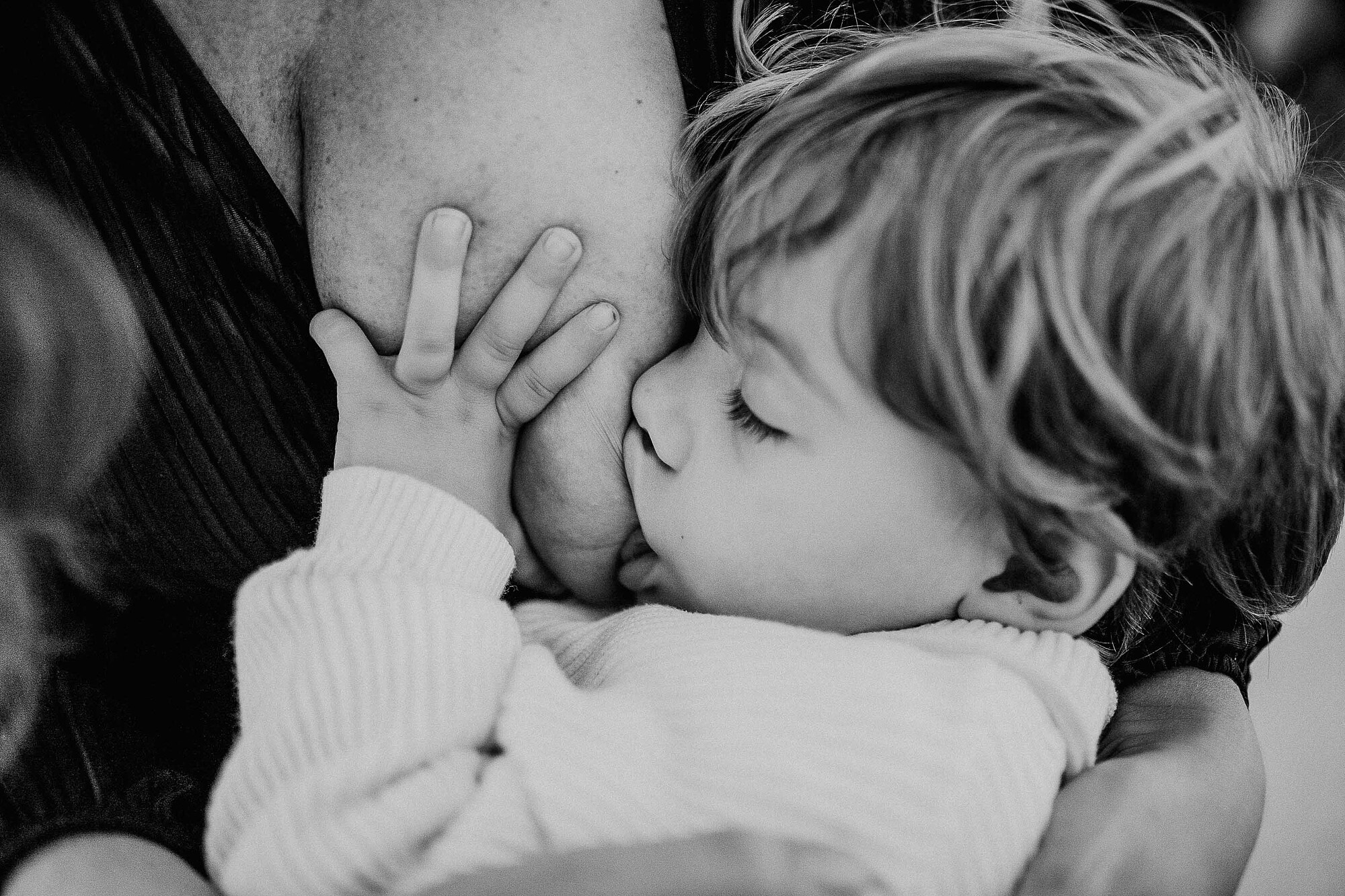 Hacienda del Álamo Malaga Yolandamcriado34252