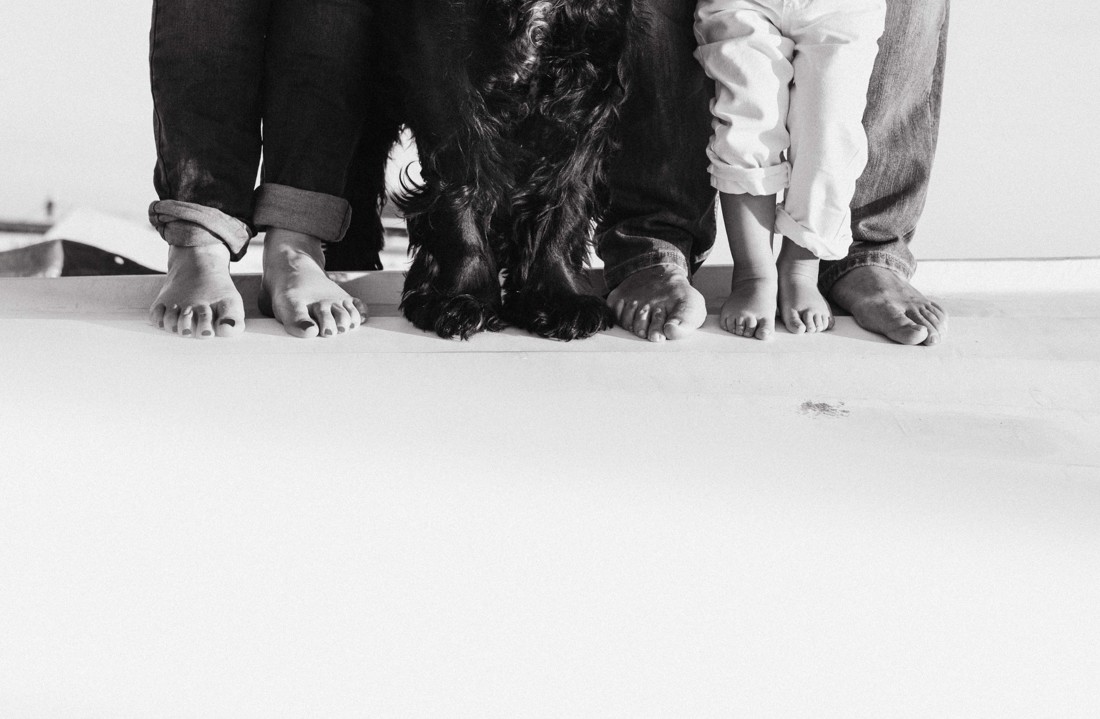 fotografos-de-Mascotas--e-Malaga-fotos-perros-Malaga