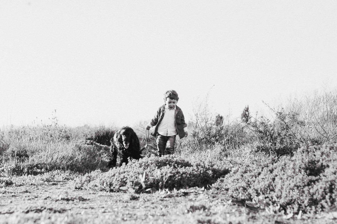 fotografos-de-Mascotas-Malaga-f-fotos-perros-Malaga