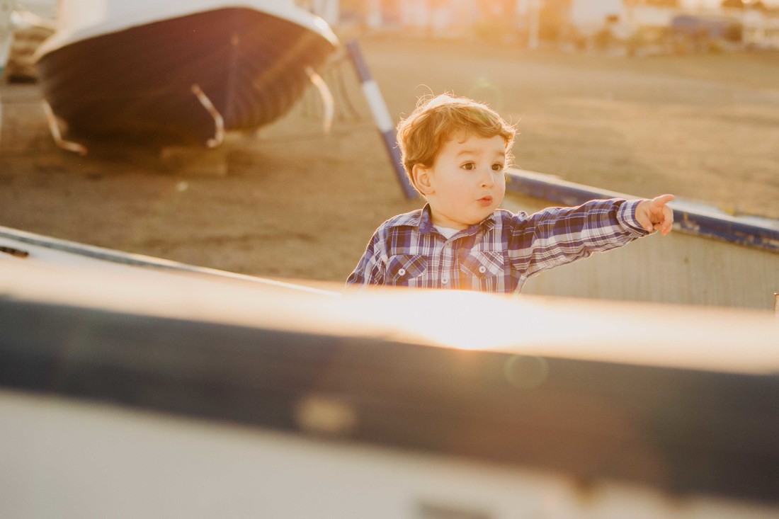 fotografos-de-Mascotas-Malaga--y-fotos-perros-Malaga
