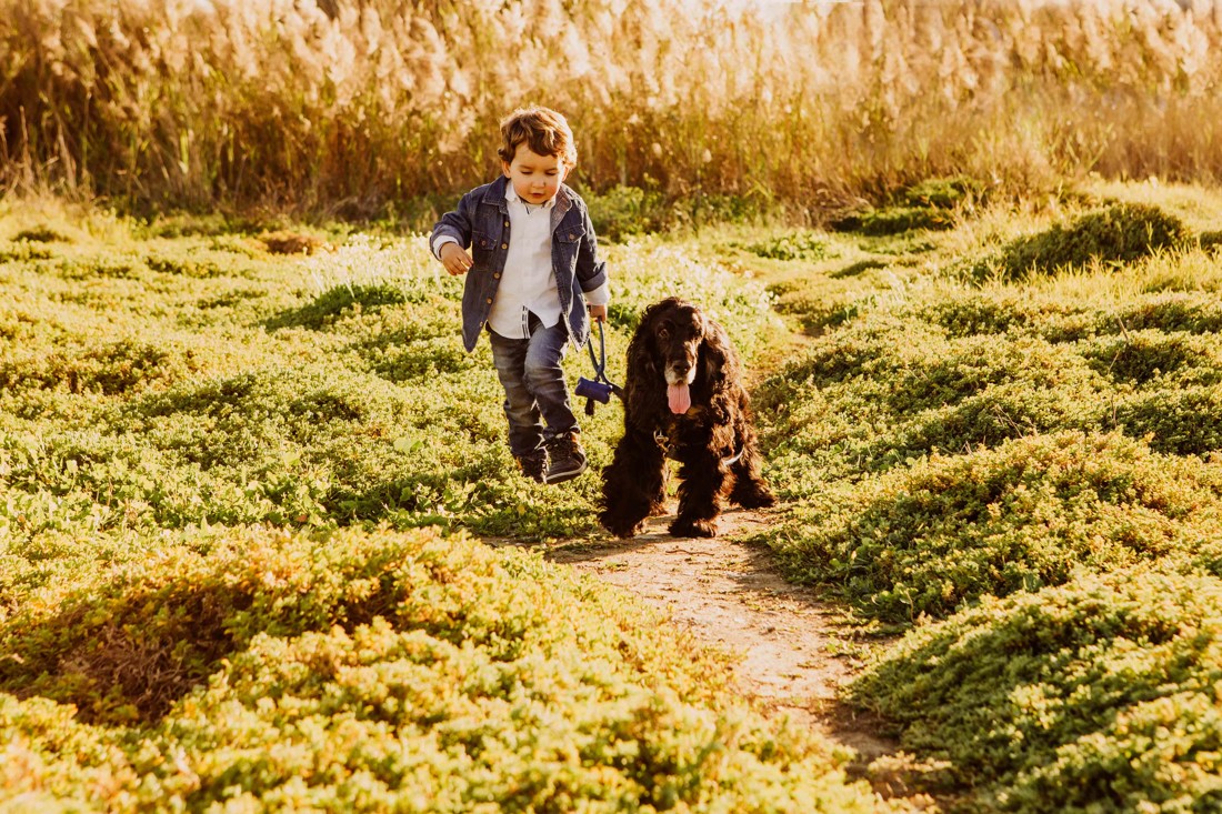 fotografos-gg-de-Mascotas-Malaga-fotos-perros-Malaga