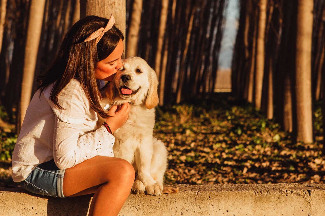 Fotografos de mascotas Granada Fotografos de mascotas Málaga 02