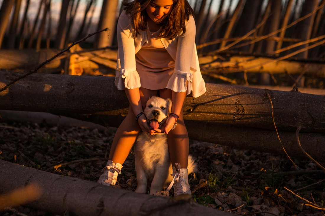 Fotografos de mascotas Granada Fotografos de mascotas Málaga 07