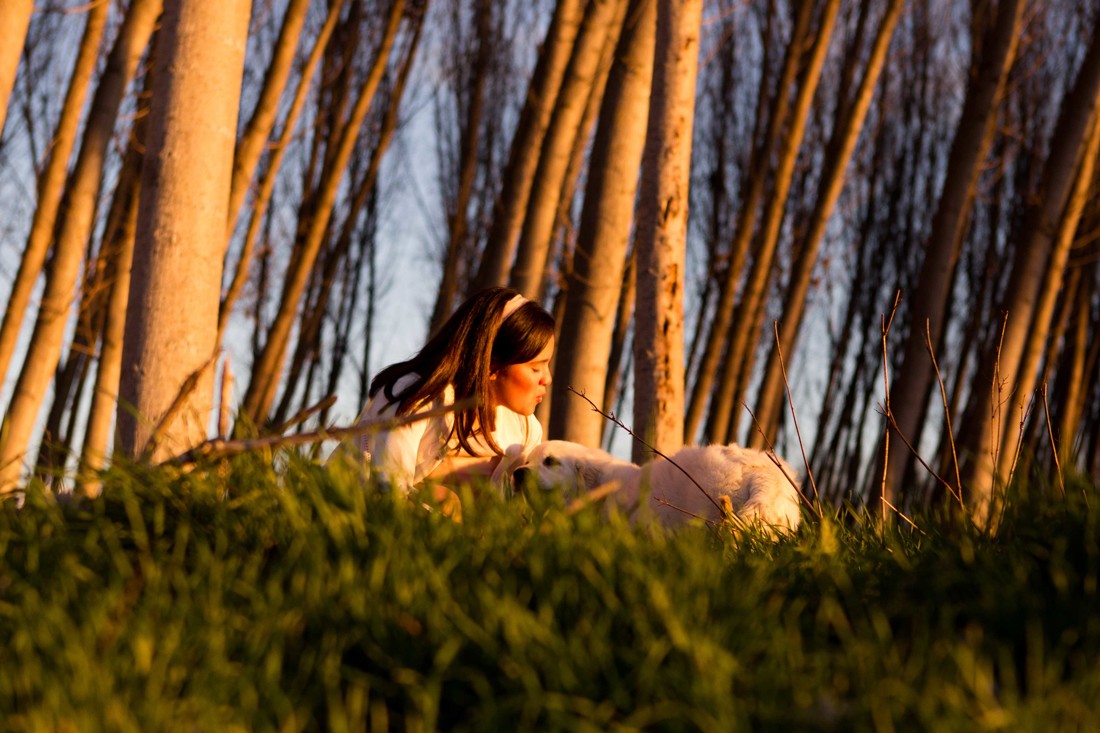 Fotografos de mascotas Granada Fotografos de mascotas Málaga 12