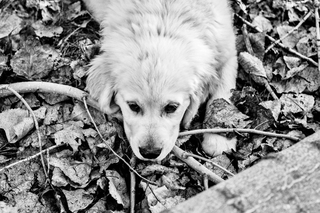 Fotografos de niños Málaga 4
