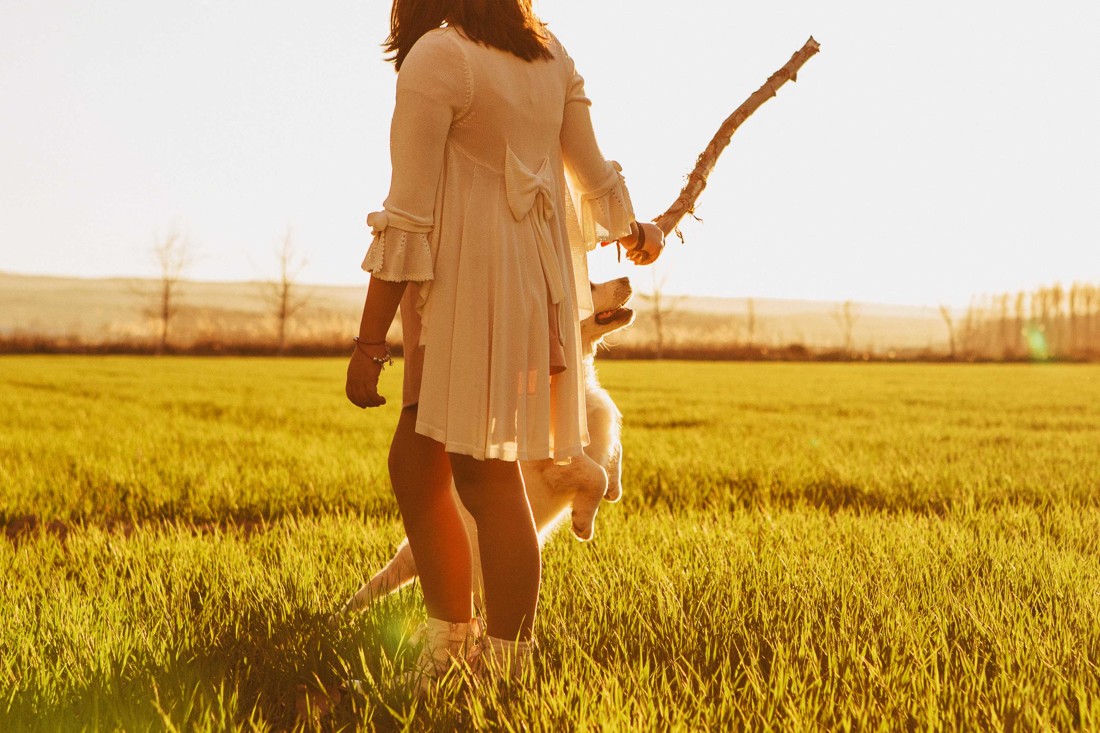 Fotografos de mascotas Granada Fotografos de mascotas Málaga 16