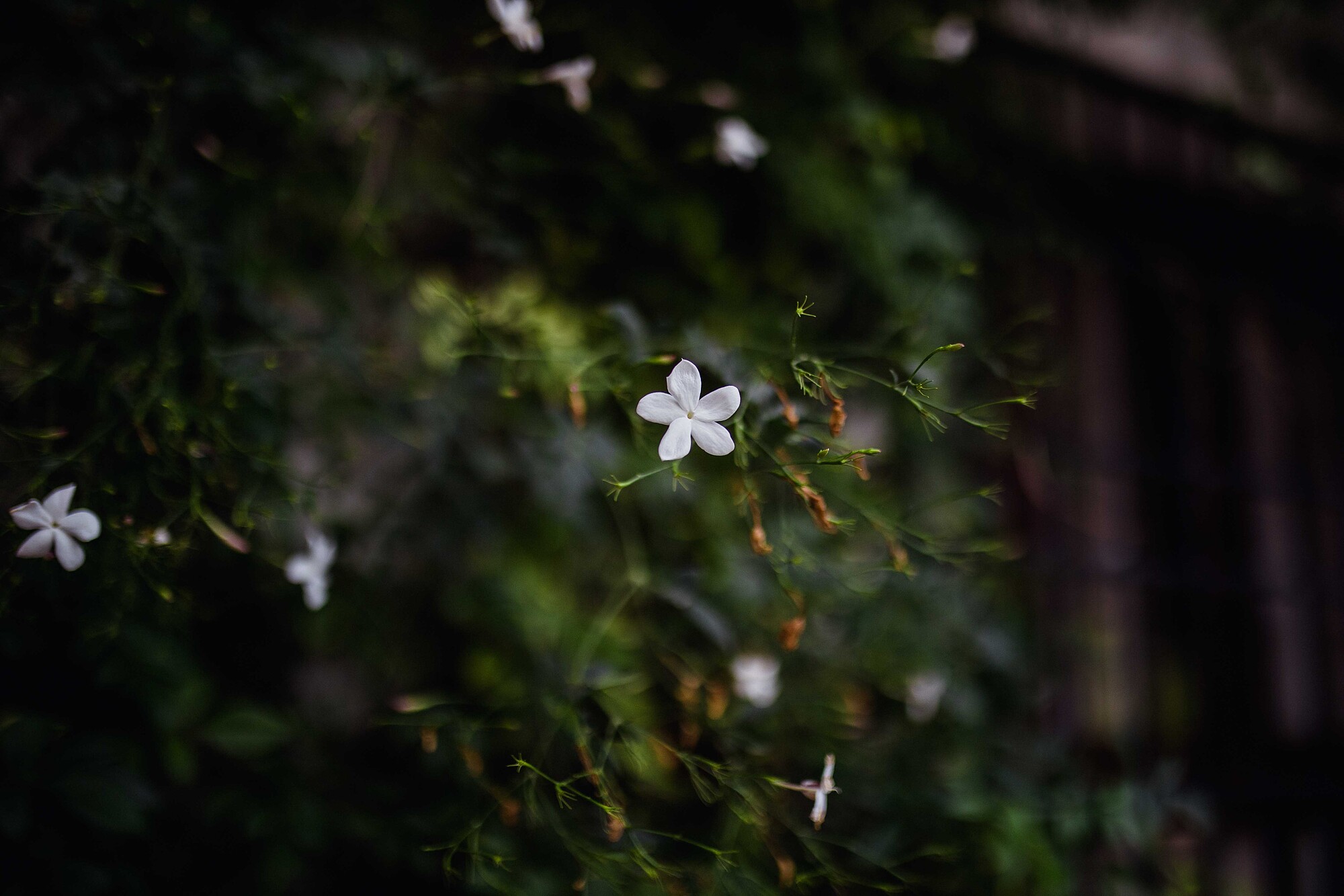boda civil en la Universidad de Osuna-289