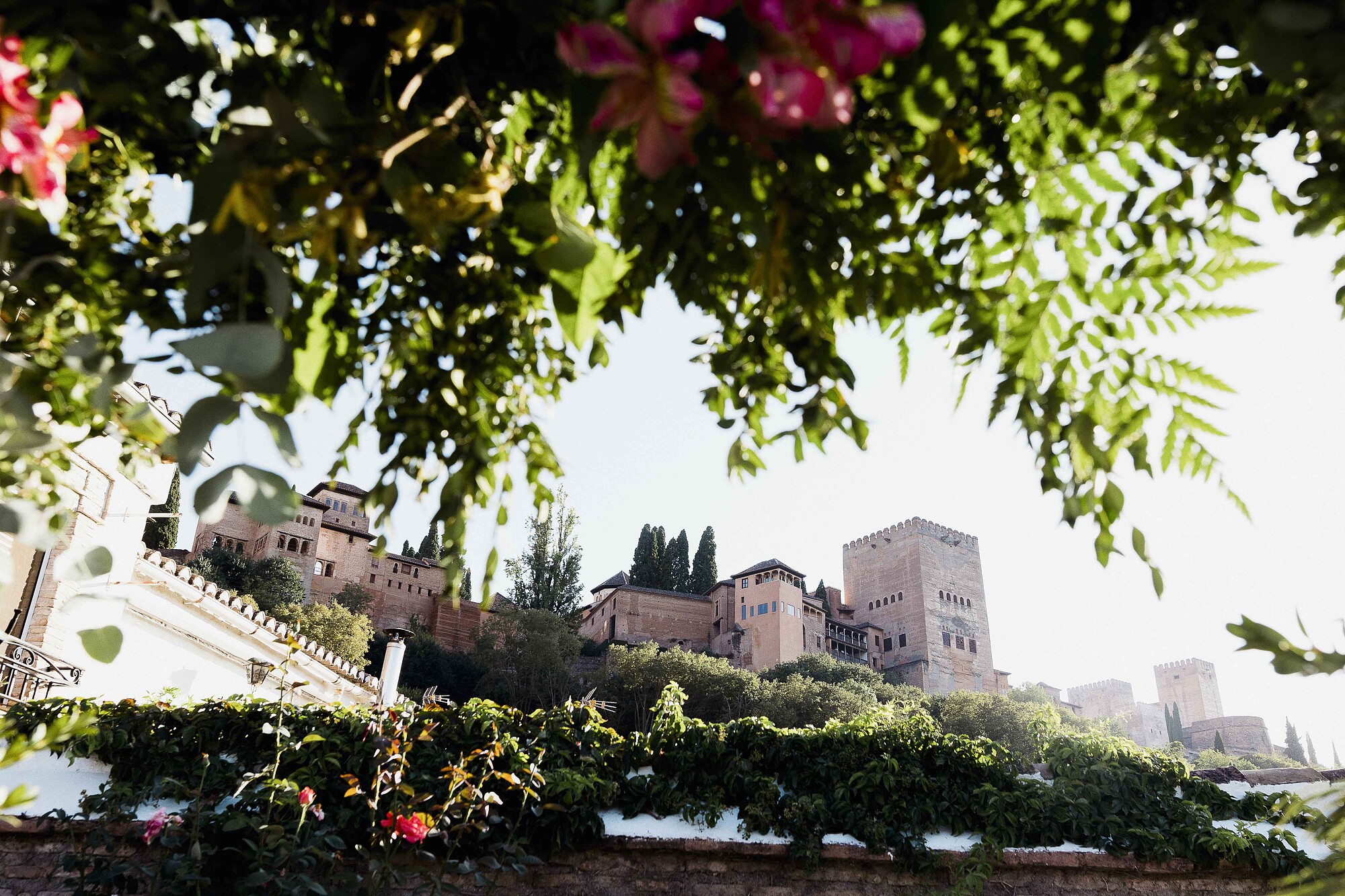Boda Carmen de los Chapiteles Granada-61