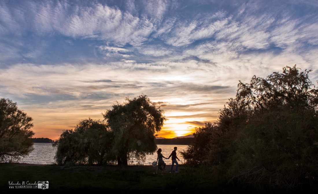 preboda en Malaga con perro 105