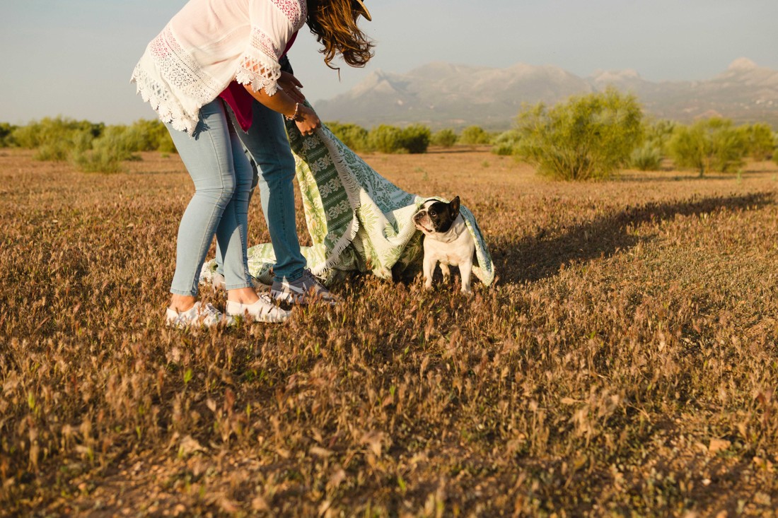 preboda en Malaga con perro 057