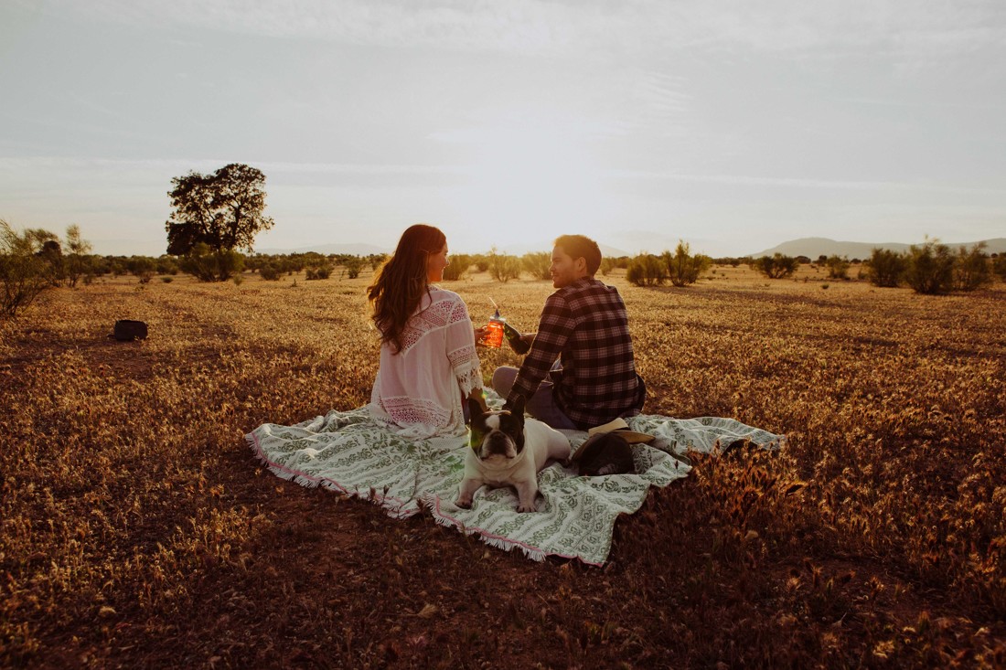 preboda en Malaga con perro 070