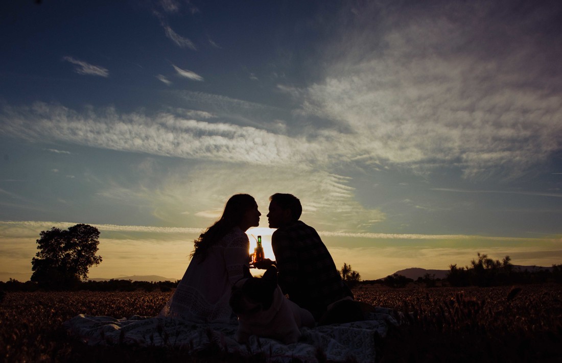 preboda en Malaga con perro 073