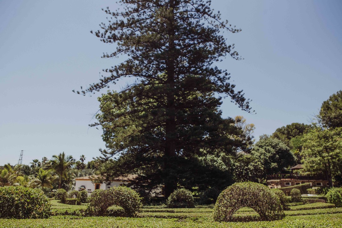 Fotografos embarazadas Malaga,fotografos embarazo Granada 19