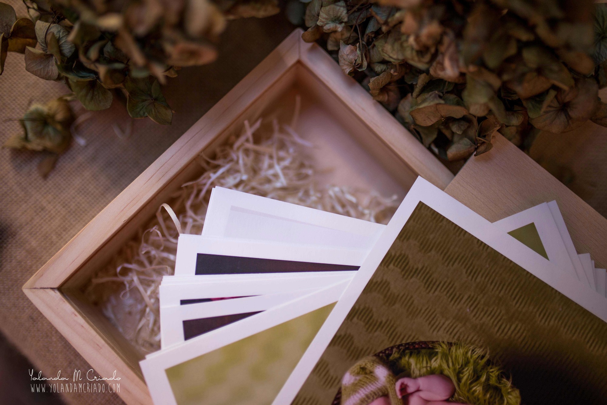 album bebe new born fine art 2