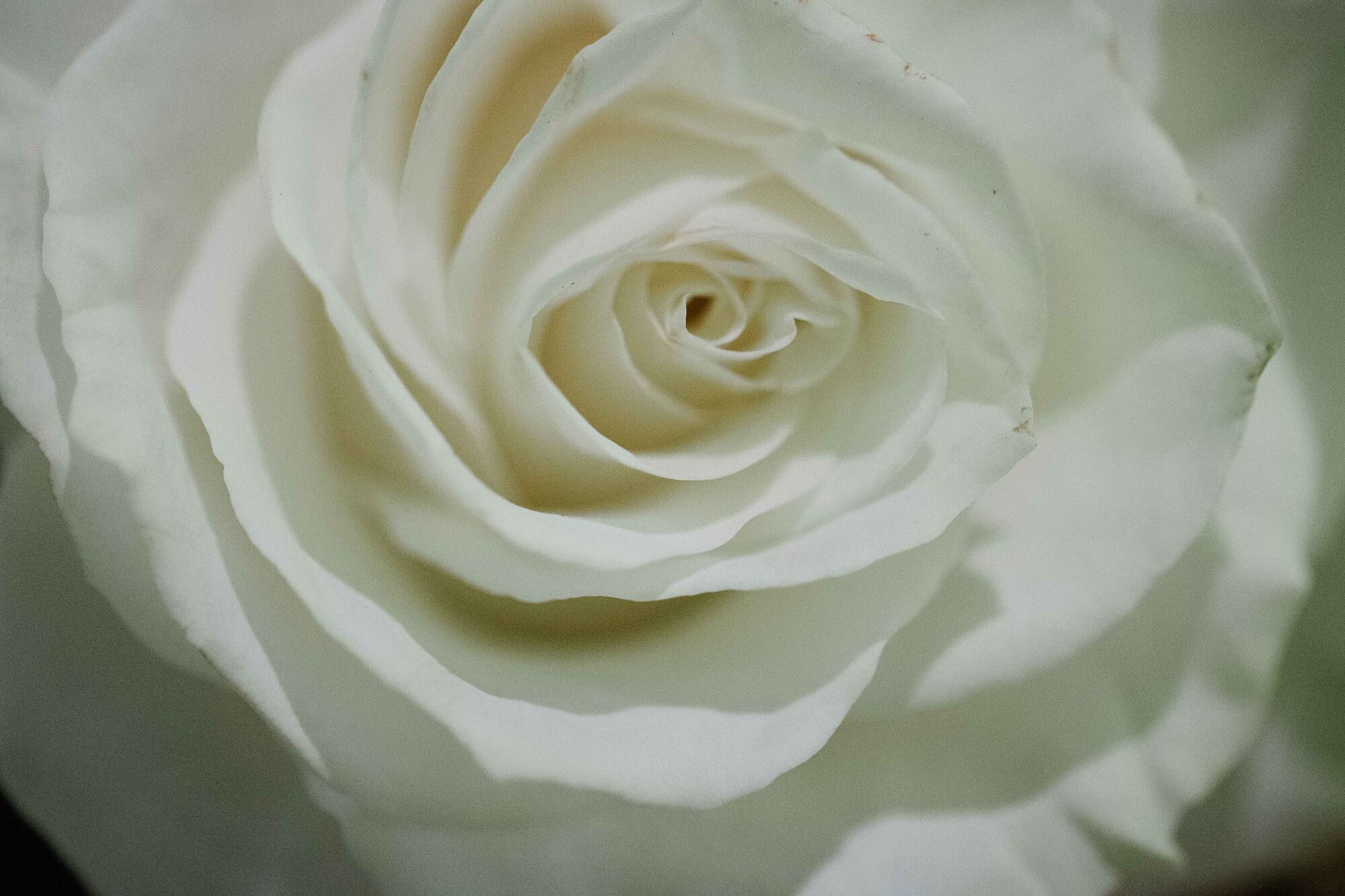 boda en candado beach malaga-64