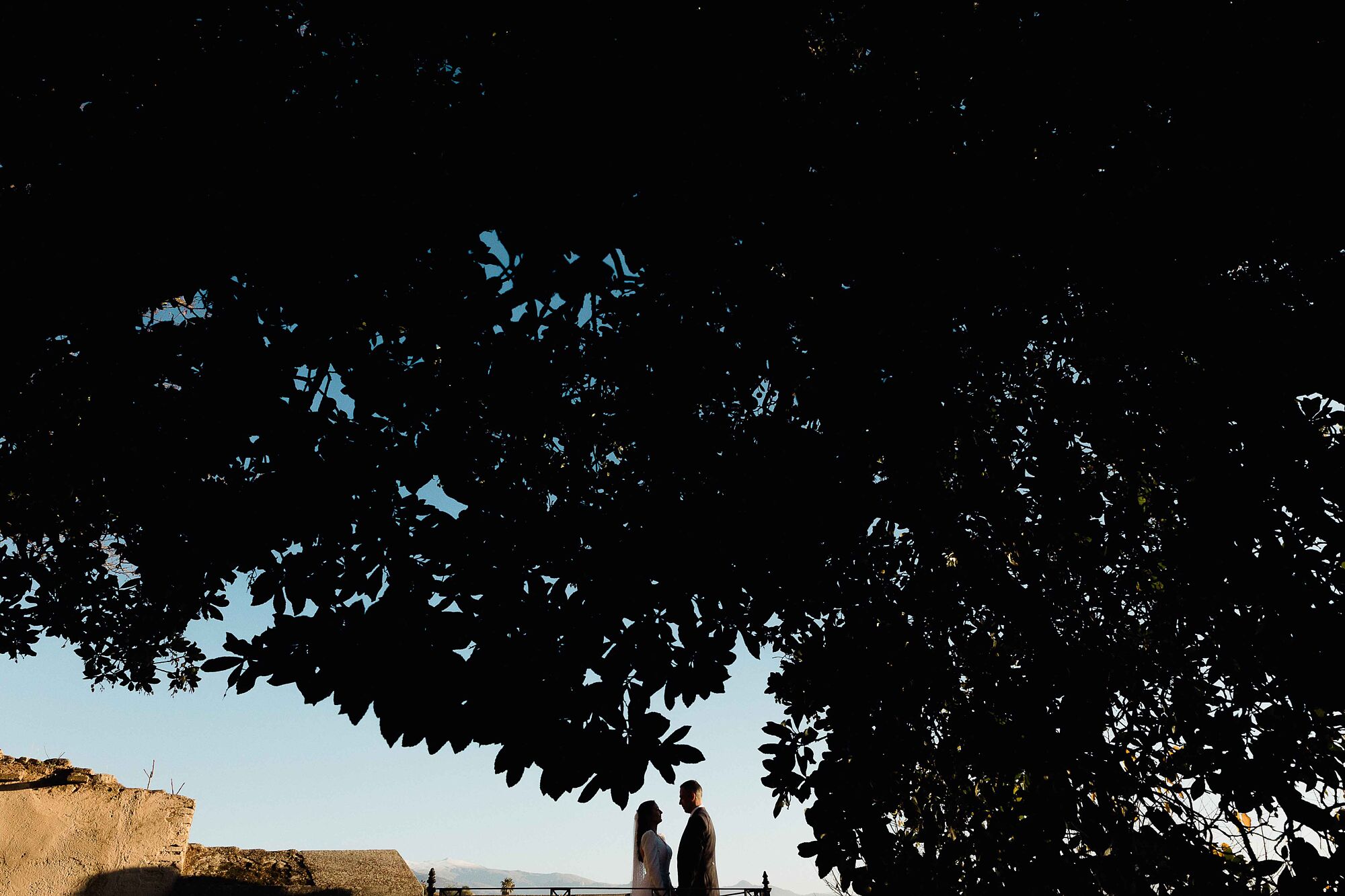 Boda Cortijo el Maizal Granada563