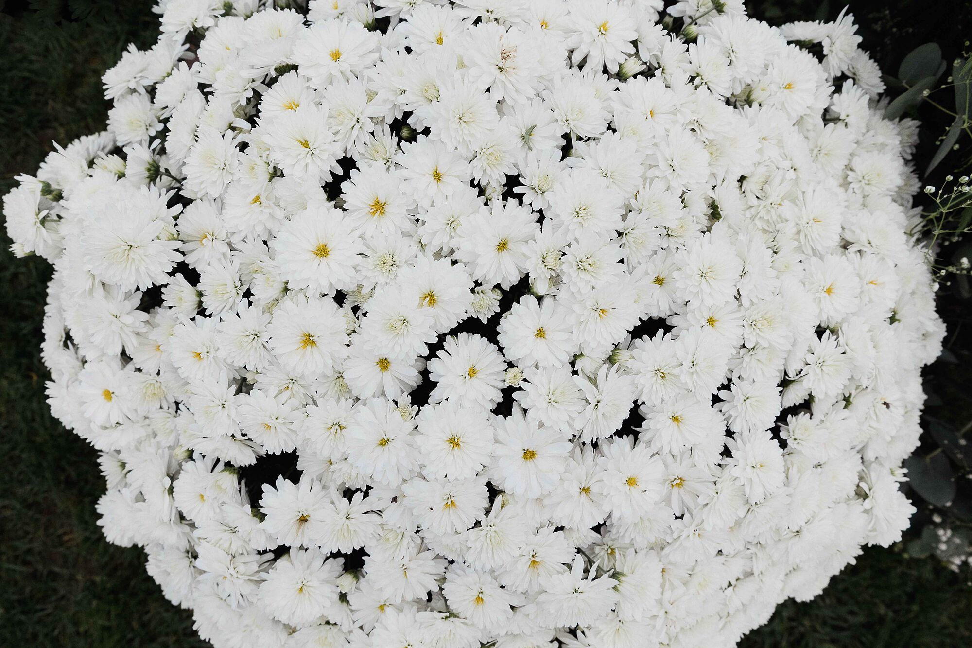 Boda Cortijo el Maizal Granada580