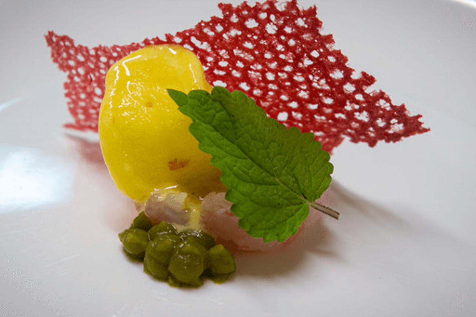 UNMONDODICOLORI - 91b4ab8d-3ad4-4447-9f87-ee9a01d9a4ee.jpeg