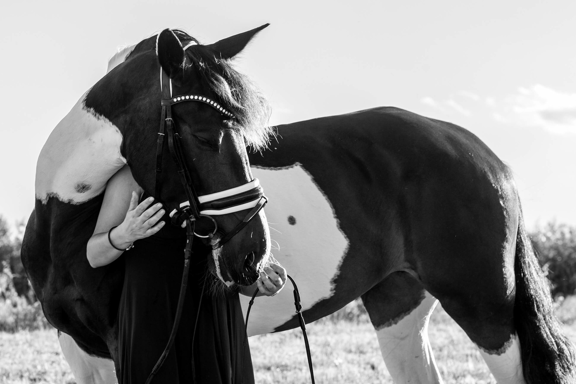 fotografa caballs penedes garraf 23