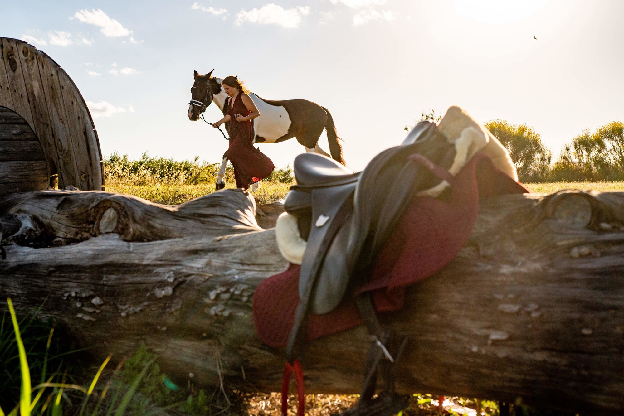 fotografa caballs penedes garraf 452