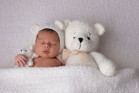 ALESSANDRA MALDONADO