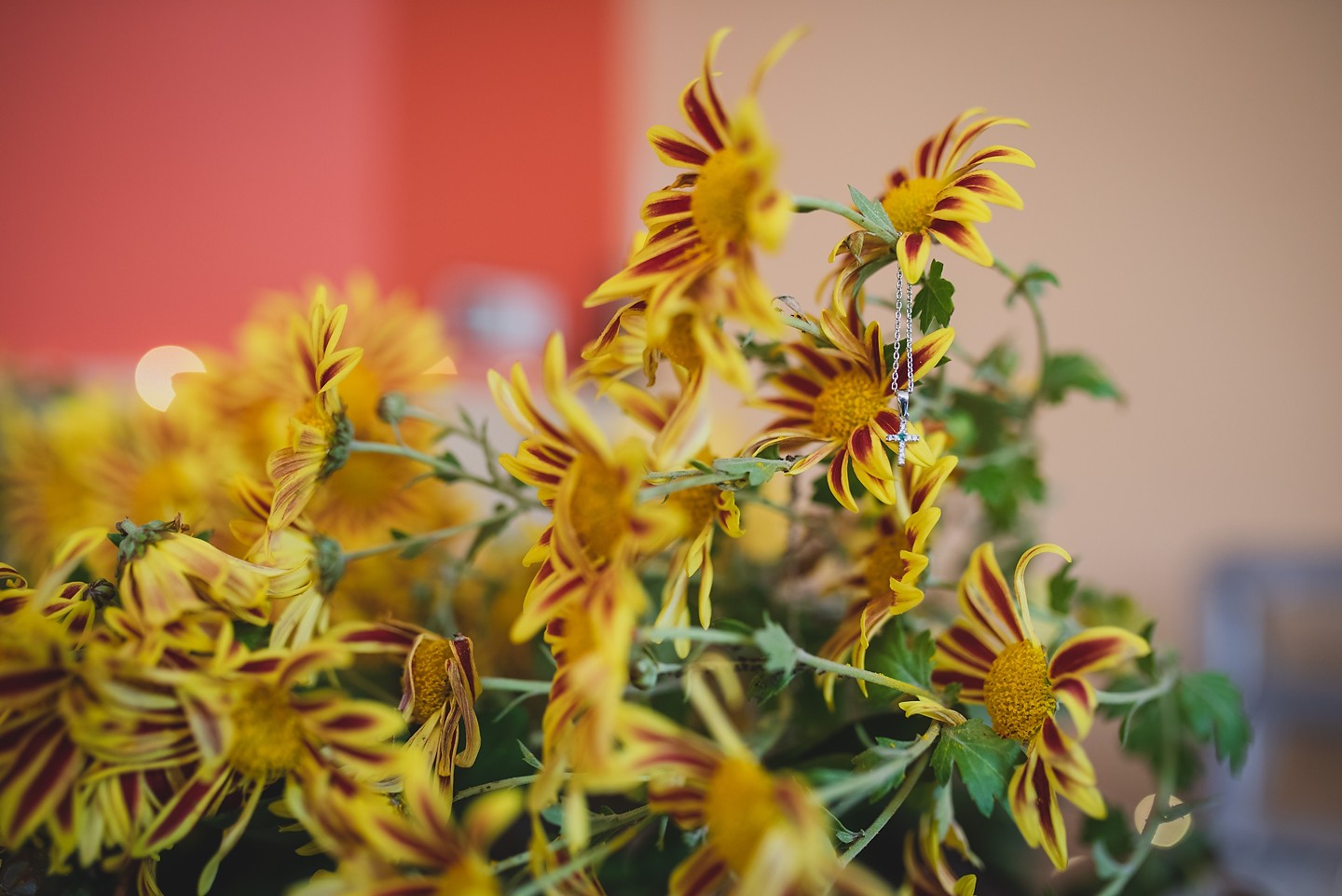 rotografos-boda-madrid-finca-peñarrubia-araceli-0101