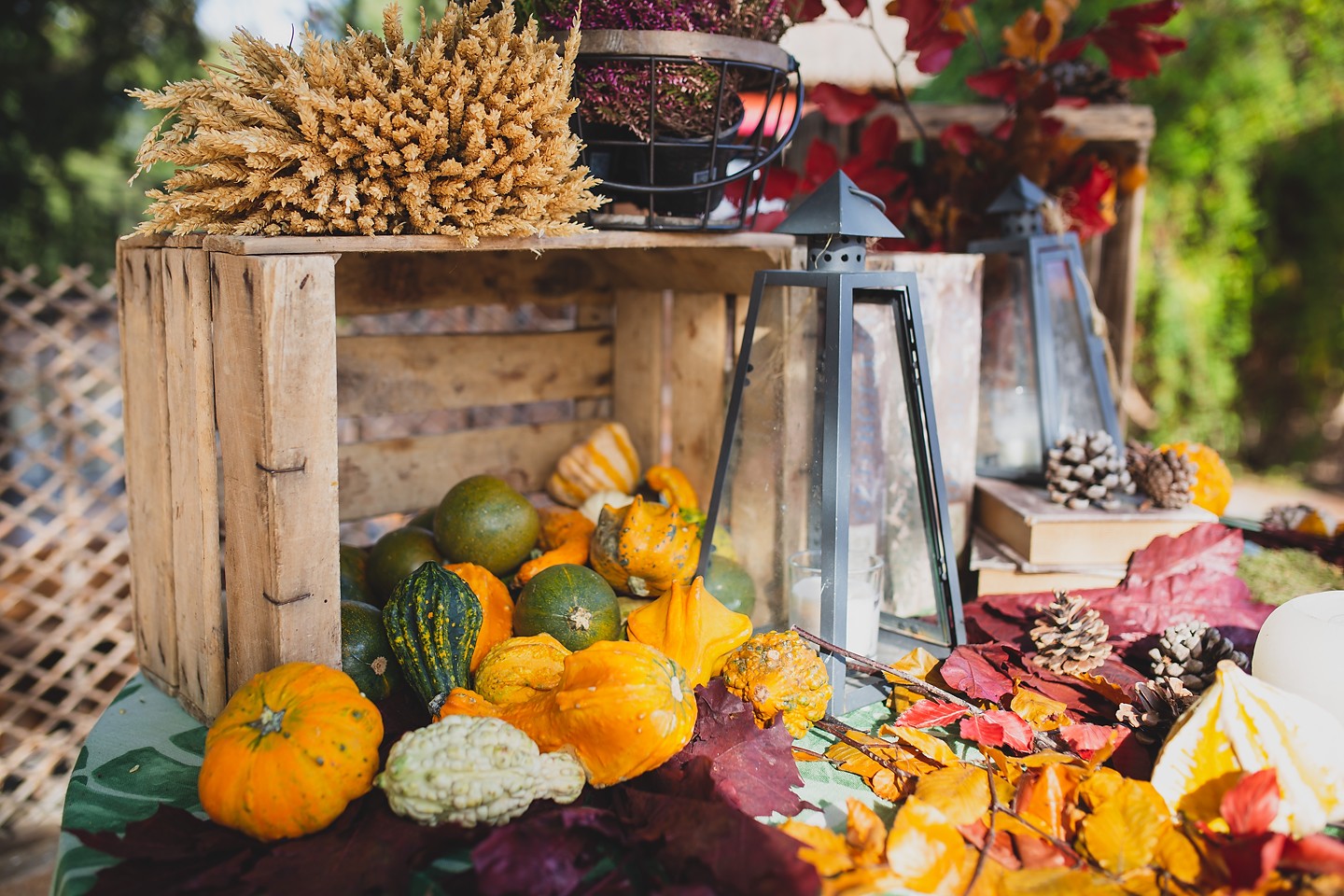 rotografos-boda-madrid-finca-peñarrubia-araceli-0325