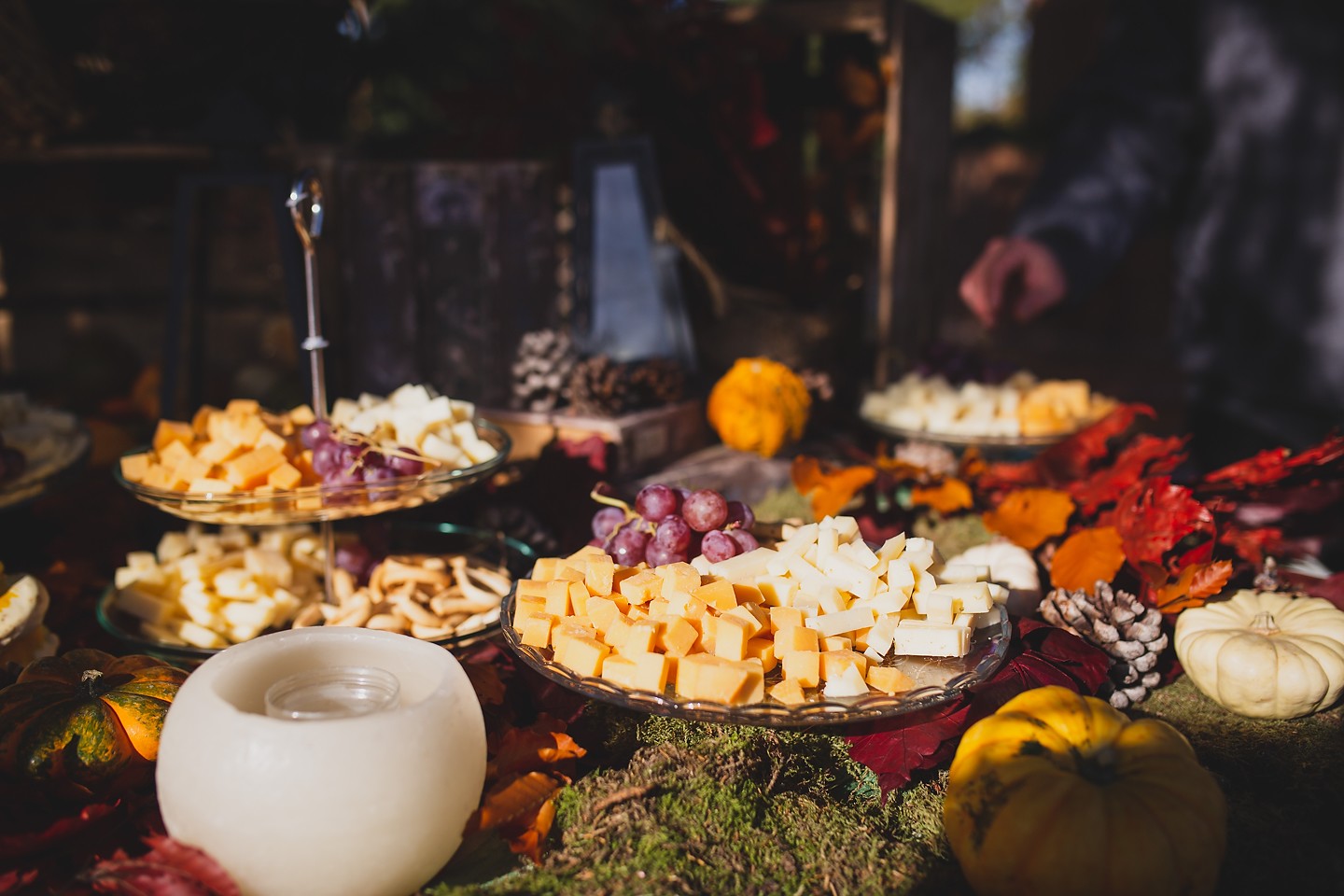 rotografos-boda-madrid-finca-peñarrubia-araceli-0333