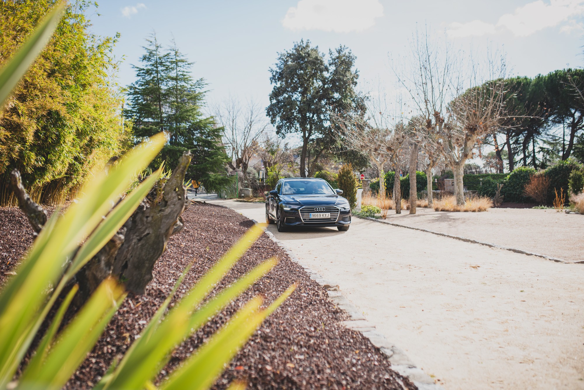 fotografos-boda-madrid 124742