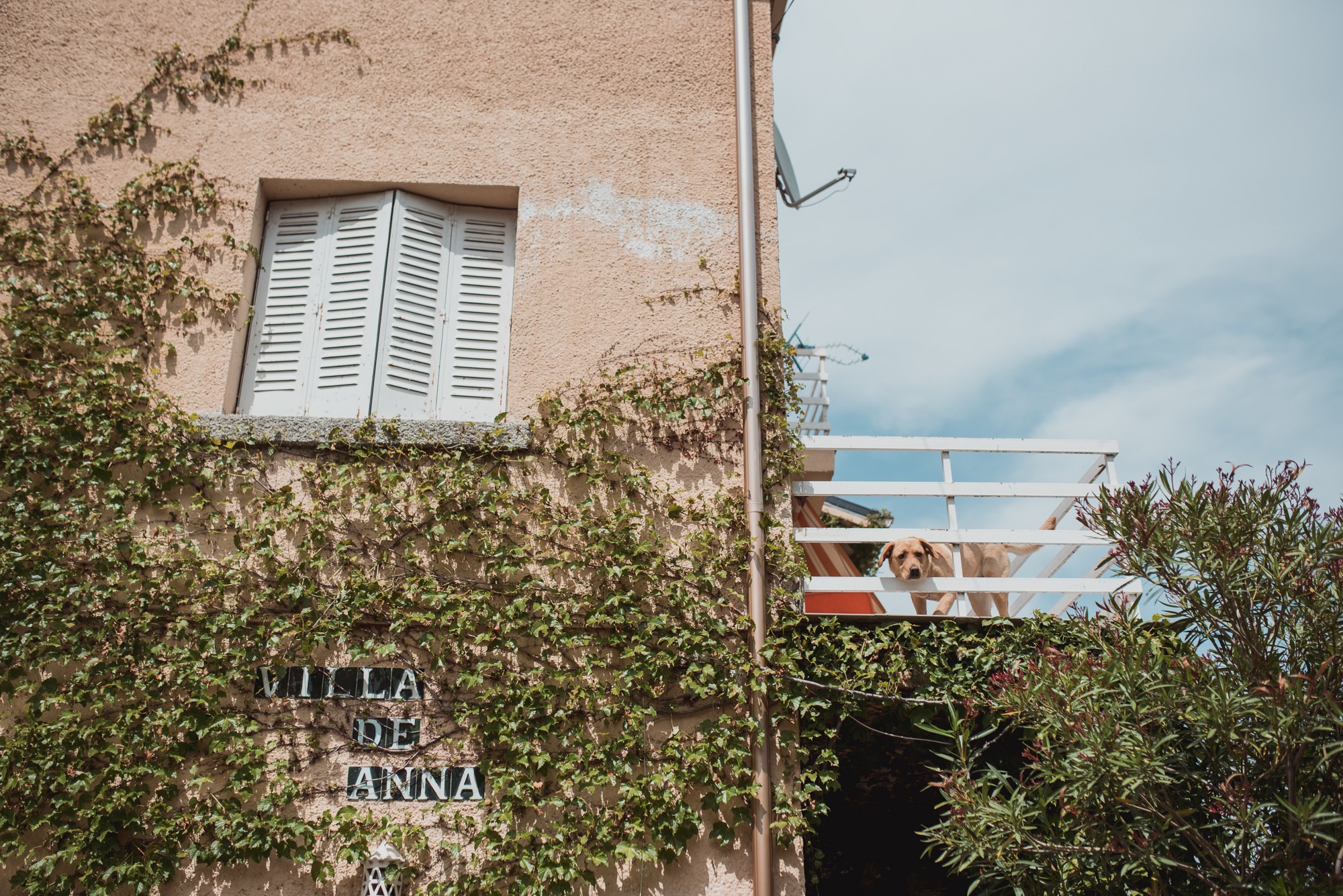fotografos-boda-finca-felipe-II-515725