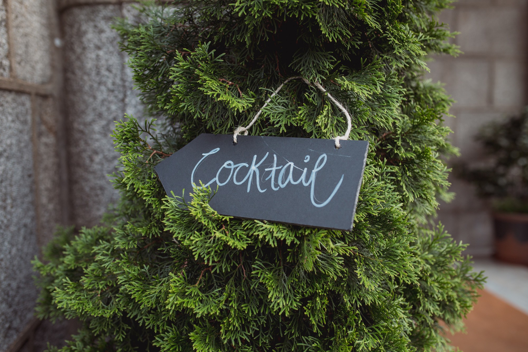 fotografos-boda-finca-felipe-II-515961